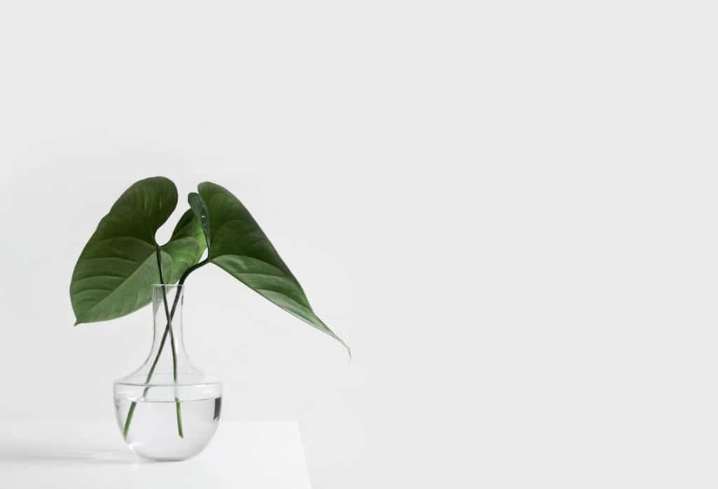 Photo The main subject of the article is the use of Webmate to influence user behavior through the psychology of design Keywords include psychology, design, user behavior, and Webmate