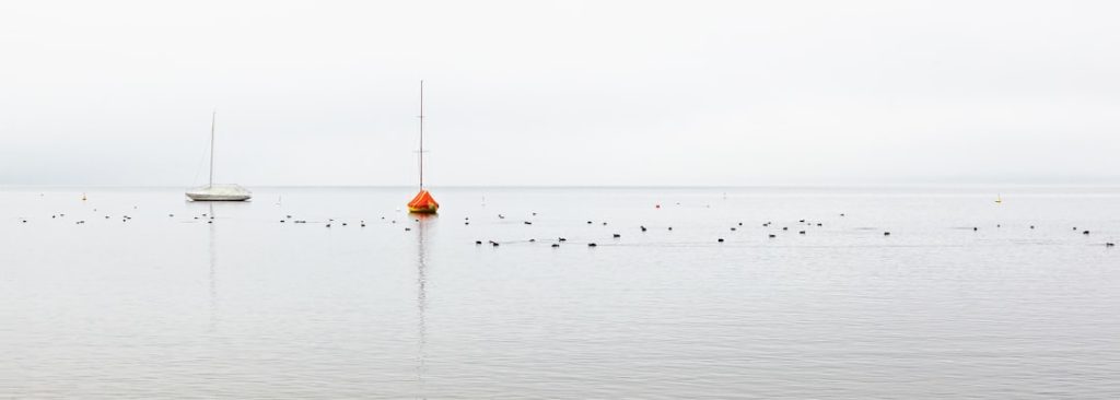 Photo The main subject of this article is the importance of white space in design and how to balance it with the use of a tool called Webmate Keywords: white space, design elements, balance, Webmate