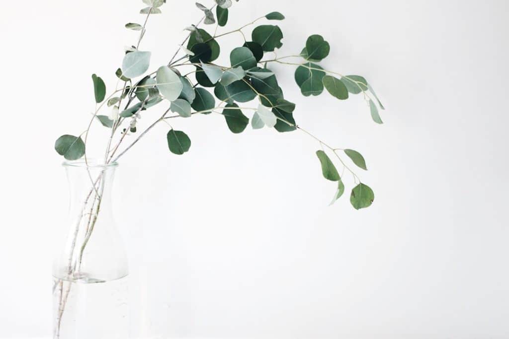 Photo Keywords: website, SEO, guide Relevant generic image: Laptop, SEO strategy