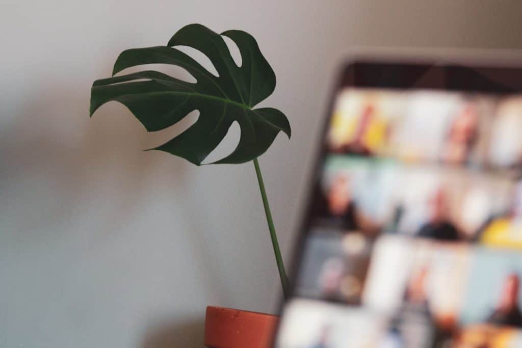Photo Interactive display