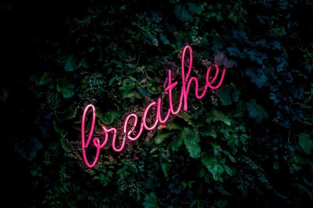 Photo Pinterest board